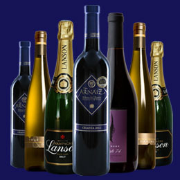 专业版强大的发电话软件app