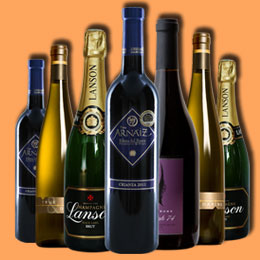 电话连环云呼叫软件